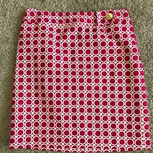 Ann Taylor Skirt